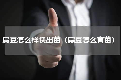 扁豆怎么样快出苗（扁豆怎么育苗）