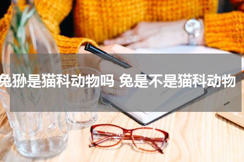 兔狲是猫科动物吗 兔是不是猫科动物