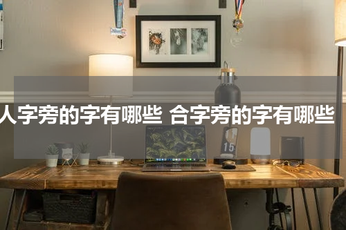 人字旁的字有哪些 合字旁的字有哪些