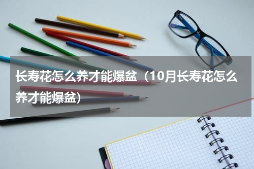 长寿花怎么养才能爆盆（10月长寿花怎么养才能爆盆）