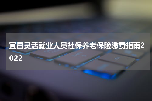 宜昌灵活就业人员社保养老保险缴费指南2022