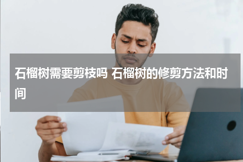 石榴树需要剪枝吗 石榴树的修剪方法和时间
