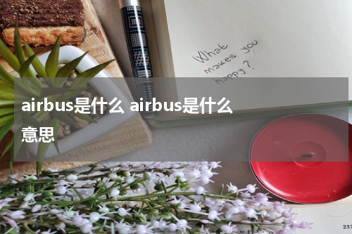airbus是什么 airbus是什么意思