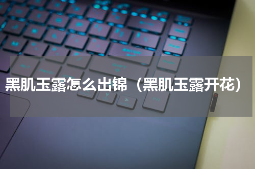 黑肌玉露怎么出锦（黑肌玉露开花）
