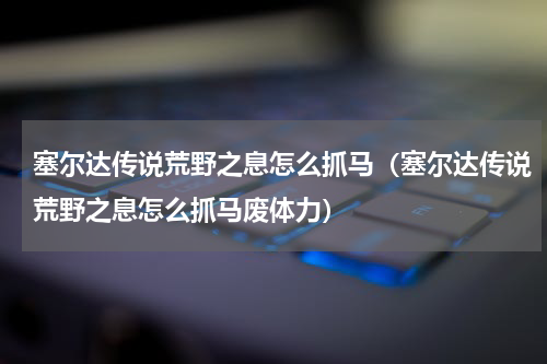 塞尔达传说荒野之息怎么抓马（塞尔达传说荒野之息怎么抓马废体力）