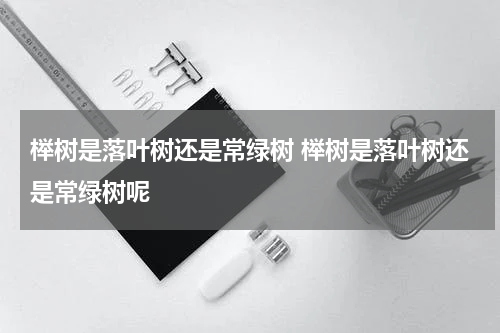 榉树是落叶树还是常绿树 榉树是落叶树还是常绿树呢