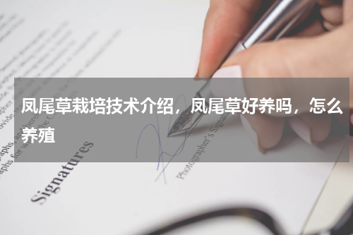 凤尾草栽培技术介绍，凤尾草好养吗，怎么养殖