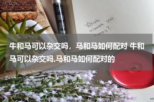 牛和马可以杂交吗，马和马如何配对 牛和马可以杂交吗,马和马如何配对的
