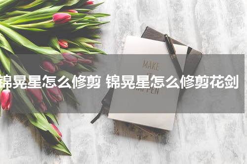锦晃星怎么修剪 锦晃星怎么修剪花剑