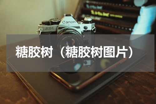 糖胶树（糖胶树图片）