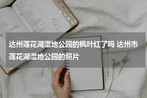 达州莲花湖湿地公园的枫叶红了吗 达州市莲花湖湿地公园的照片