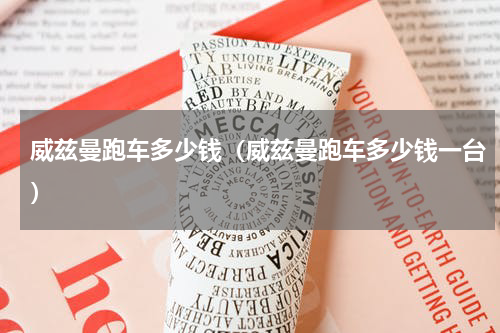 威兹曼跑车多少钱（威兹曼跑车多少钱一台）