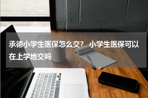 承德小学生医保怎么交？ 小学生医保可以在上学地交吗
