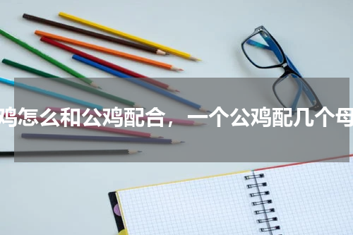 母鸡怎么和公鸡配合，一个公鸡配几个母鸡