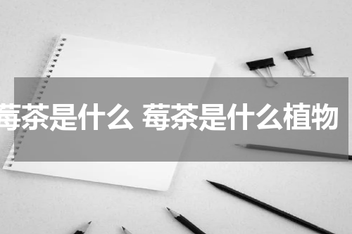 莓茶是什么 莓茶是什么植物