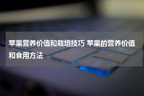 苹果营养价值和栽培技巧 苹果的营养价值和食用方法