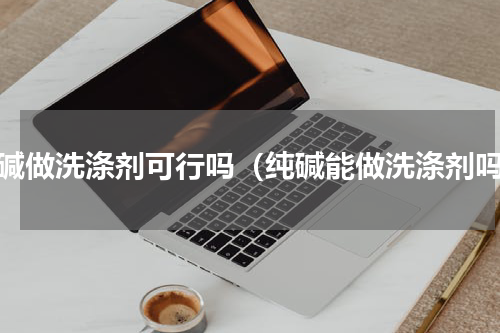 纯碱做洗涤剂可行吗（纯碱能做洗涤剂吗）