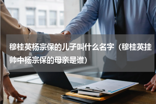 穆桂英杨宗保的儿子叫什么名字（穆桂英挂帅中杨宗保的母亲是谁）