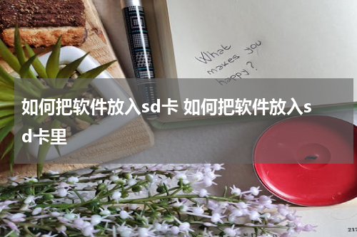 如何把软件放入sd卡 如何把软件放入sd卡里