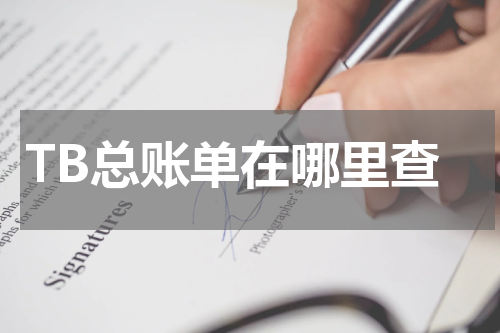 TB总账单在哪里查