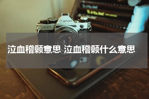 泣血稽颡意思 泣血稽颡什么意思