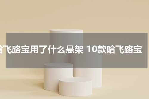 哈飞路宝用了什么悬架 10款哈飞路宝