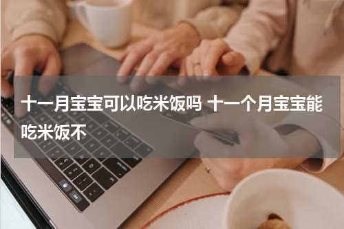 十一月宝宝可以吃米饭吗 十一个月宝宝能吃米饭不