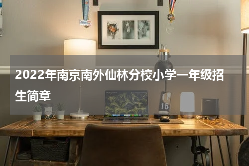 2022年南京南外仙林分校小学一年级招生简章