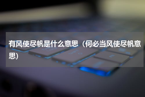 有风使尽帆是什么意思（何必当风使尽帆意思）