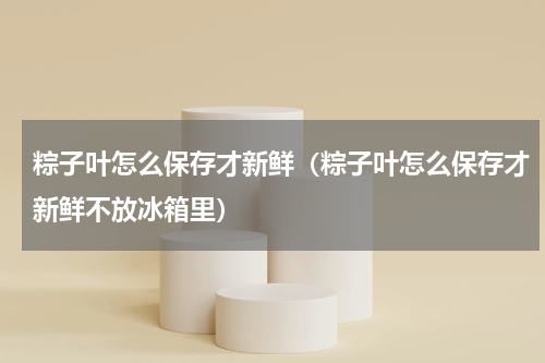粽子叶怎么保存才新鲜（粽子叶怎么保存才新鲜不放冰箱里）