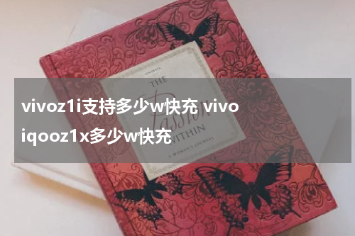 vivoz1i支持多少w快充 vivoiqooz1x多少w快充