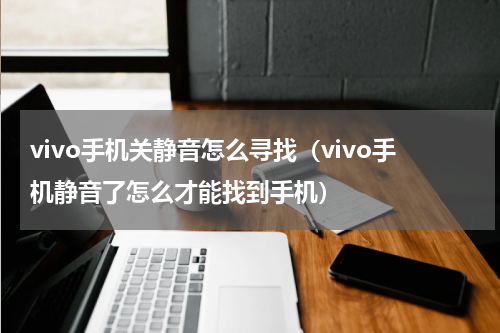 vivo手机关静音怎么寻找（vivo手机静音了怎么才能找到手机）