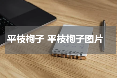 平枝栒子 平枝栒子图片