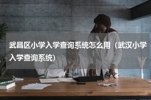 武昌区小学入学查询系统怎么用（武汉小学入学查询系统）