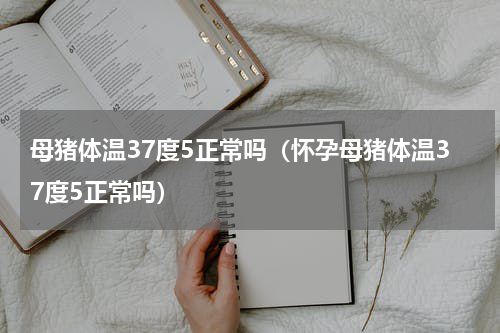 母猪体温37度5正常吗（怀孕母猪体温37度5正常吗）