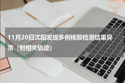 11月20日沈阳发现多例核酸检测结果异常（附相关轨迹）