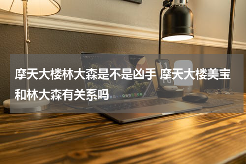 摩天大楼林大森是不是凶手 摩天大楼美宝和林大森有关系吗