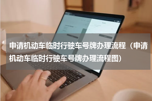 申请机动车临时行驶车号牌办理流程（申请机动车临时行驶车号牌办理流程图）