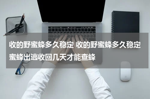 收的野蜜蜂多久稳定 收的野蜜蜂多久稳定蜜蜂出逃收回几天才能查蜂