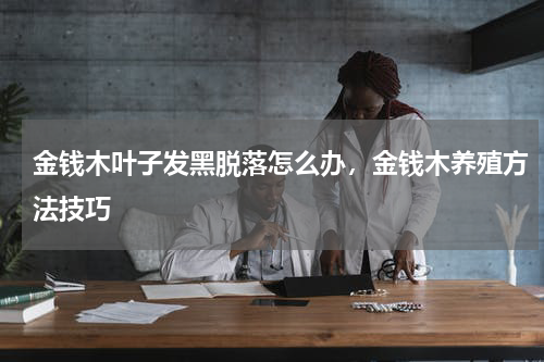 金钱木叶子发黑脱落怎么办，金钱木养殖方法技巧