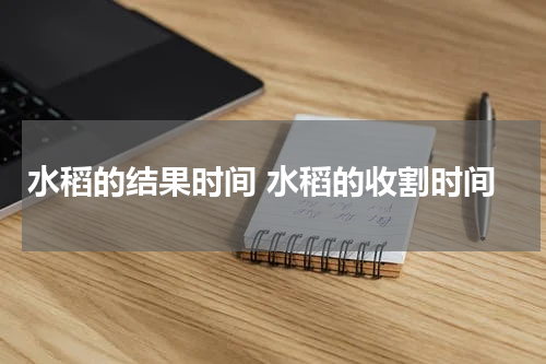 水稻的结果时间 水稻的收割时间