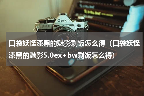 口袋妖怪漆黑的魅影剩饭怎么得（口袋妖怪漆黑的魅影5.0ex+bw剩饭怎么得）