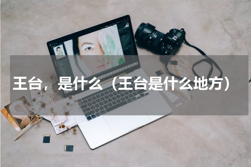 王台，是什么（王台是什么地方）