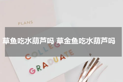 草鱼吃水葫芦吗 草金鱼吃水葫芦吗