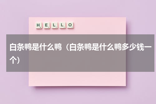 白条鸭是什么鸭（白条鸭是什么鸭多少钱一个）