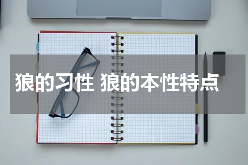狼的习性 狼的本性特点