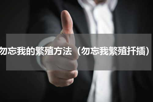 勿忘我的繁殖方法（勿忘我繁殖扦插）