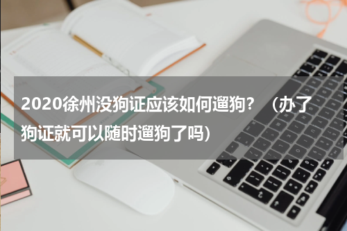 2020徐州没狗证应该如何遛狗？（办了狗证就可以随时遛狗了吗）