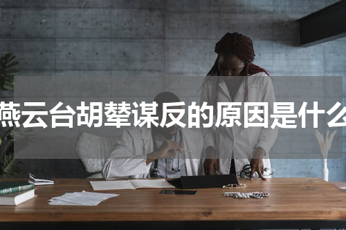 燕云台胡辇谋反的原因是什么
