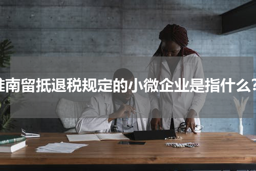 淮南留抵退税规定的小微企业是指什么？